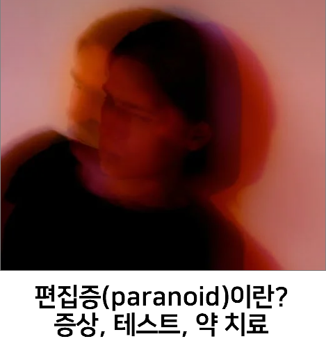 편집증(paranoid)이란?