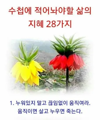 삶의 지혜 짧은 문장 손주 교육 대화 공감 가족과 나누기 좋은 표현_18