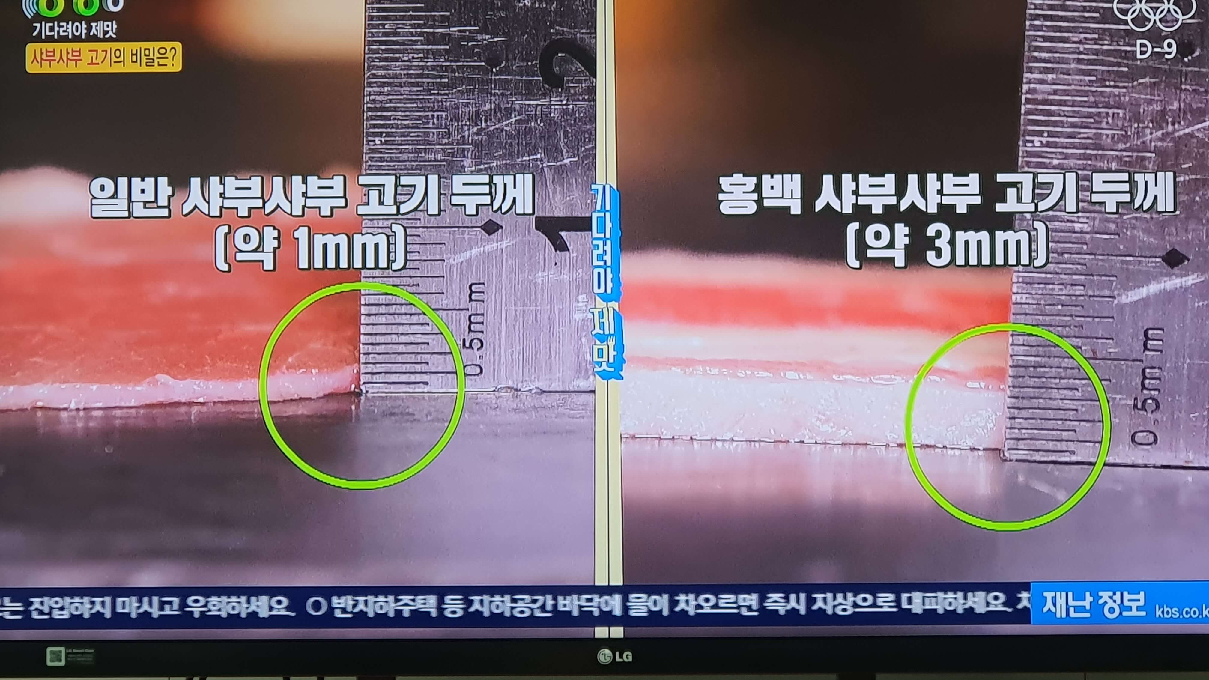 생생 정보통 맛집 줄서는 이유