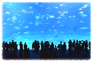 오키나와 (Okinawa)