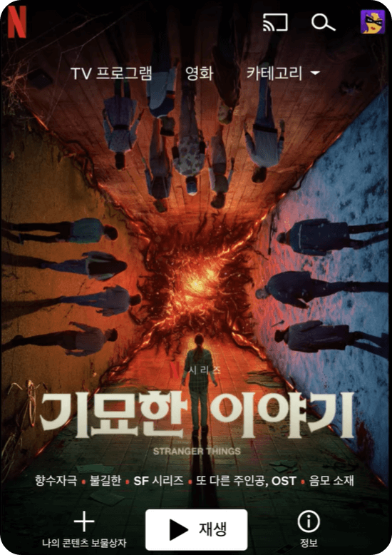 넷플릭스 연령 인증 방법