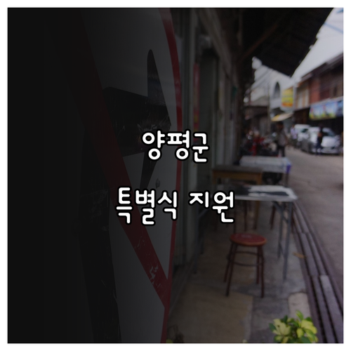 양평군 어르신 특별식 지원 2025:..