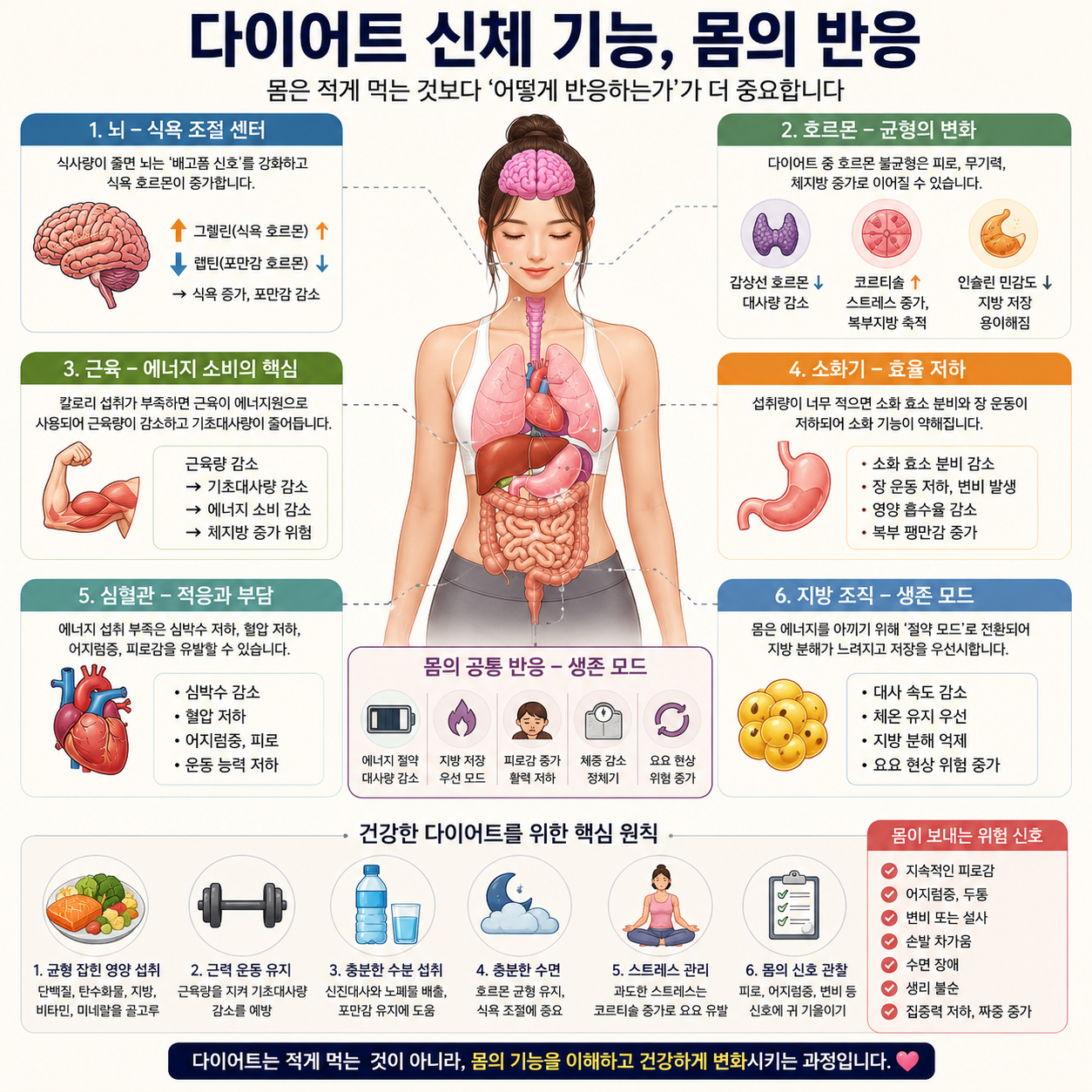 다이어트 신체 기능, 적게 먹기보다 먼저 봐야 할 몸의 반응