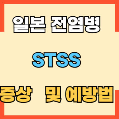 일본전염병 stss 증상 및 예방법 섬네일 모습
