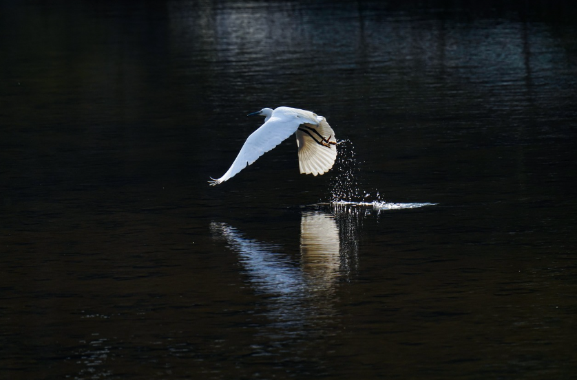 미국과 한국 재테크 관련 이미지