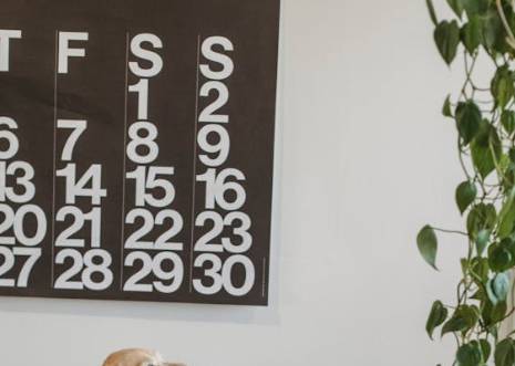 민생회복 소비쿠폰 신청방법, 신청기간 완벽정리