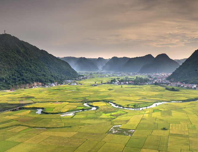 사주 기토에 대한 설명 사진