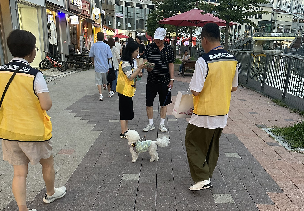 김포시, 민관합동 동물등록 단속 및 캠페인 펼쳐 김포시, 민관합동 동물등록 단속 및 캠페인 펼쳐