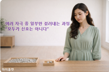 연초 변동 중 대부분은 왜 ‘반응할 필요 없는 신호’인가