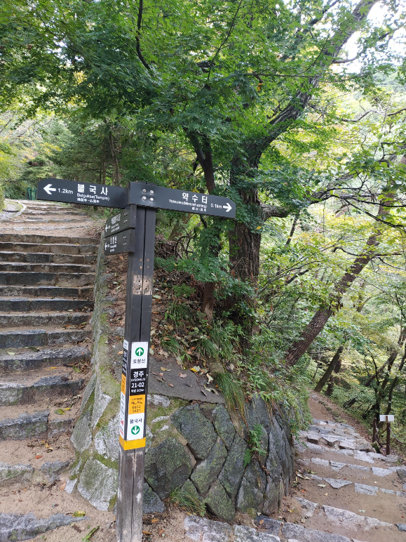 약수터 길