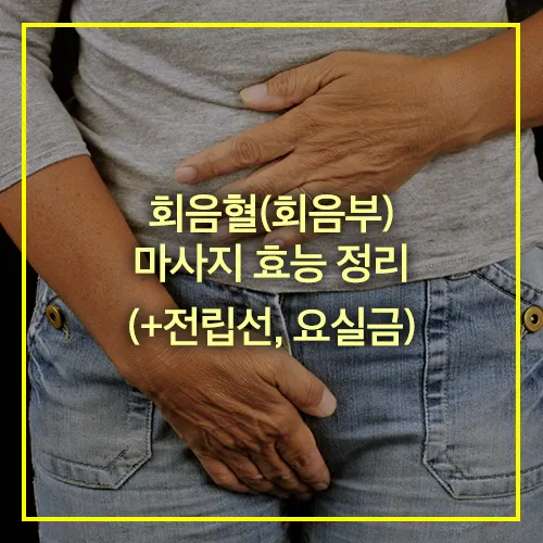 회음혈 회음부 마사지 효능 전립선 요실금