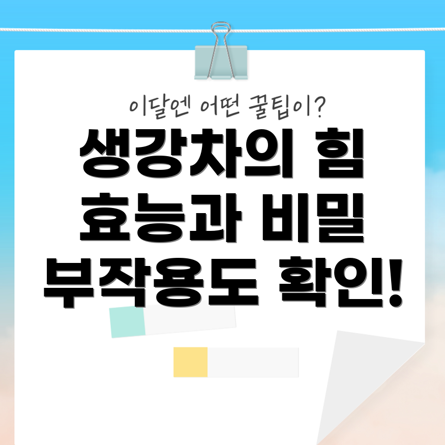 생강차 효능