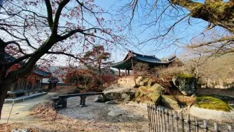 봉화 가볼만한곳 베스트10 현지인 추천 필수코스_10