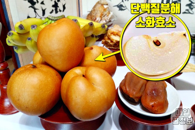 소화 잘되는 음식,배,소화 안될때 좋은음식