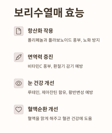 보리수열매 효능