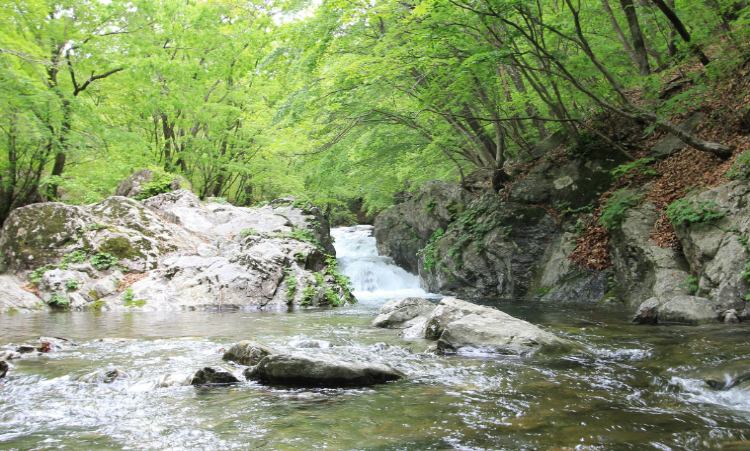 가평 가볼만한곳