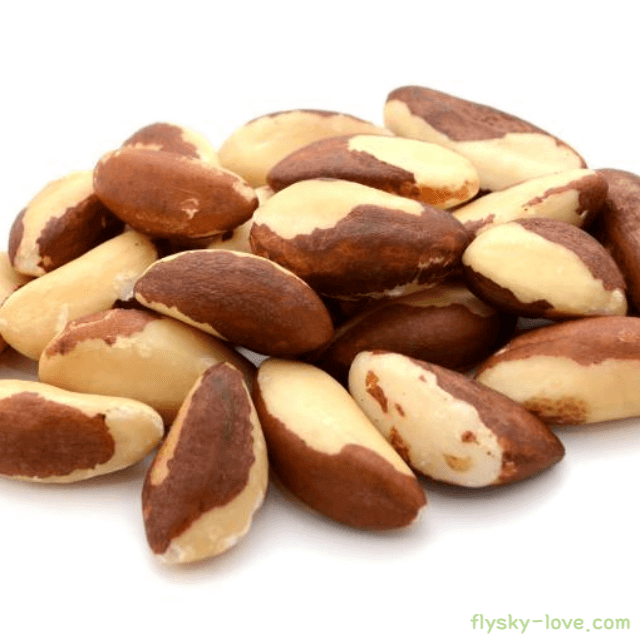 브라질 너트 먹는 방법