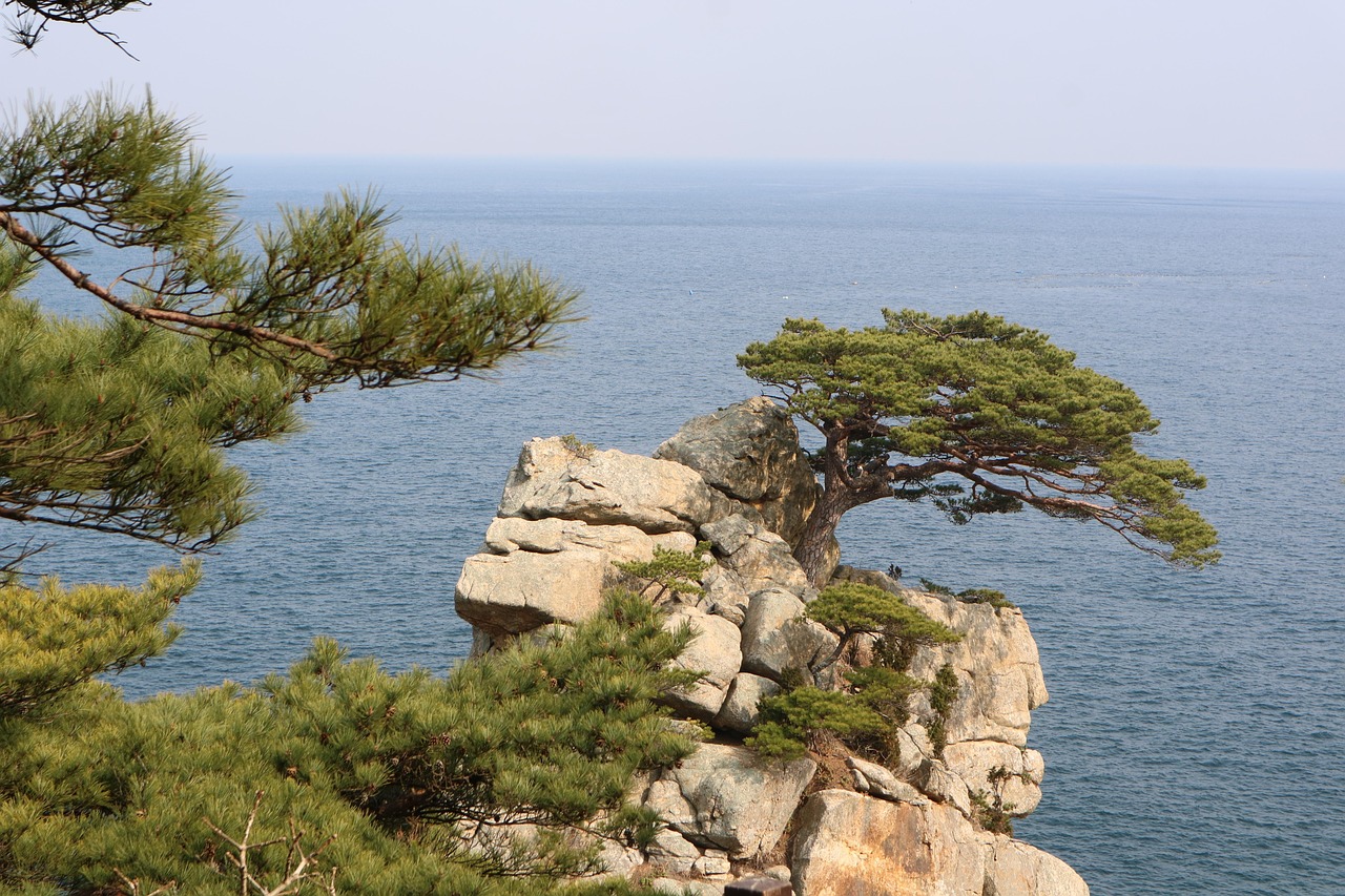 하조대 관련 사진