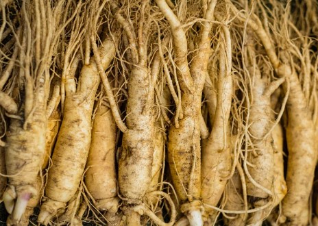 운동 후 신체회복에 좋은 영양보충식품 추천 - 인삼의 효능 연구 결과