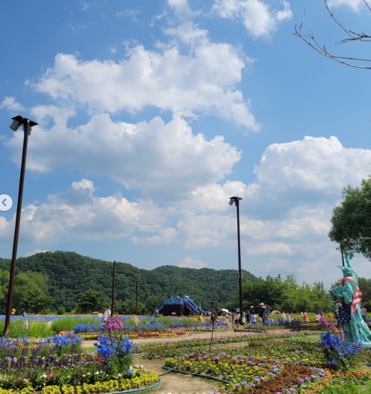 자라섬 꽃 페스타