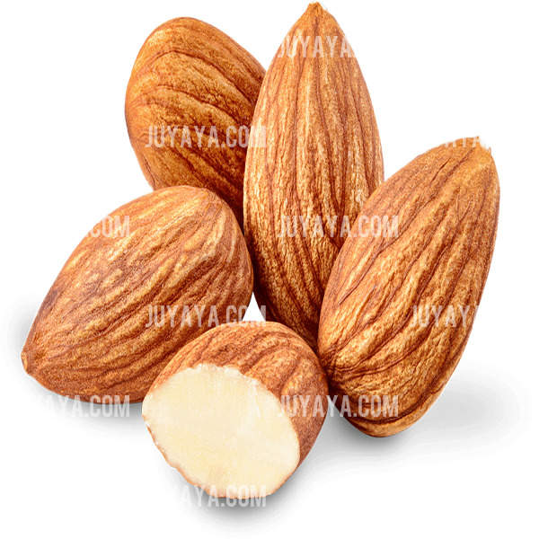 껍질이 있는 아몬드와 반으로 갈라진 아몬드 알맹이. 아몬드의 고소한 이미지를 연상시키는 모습.