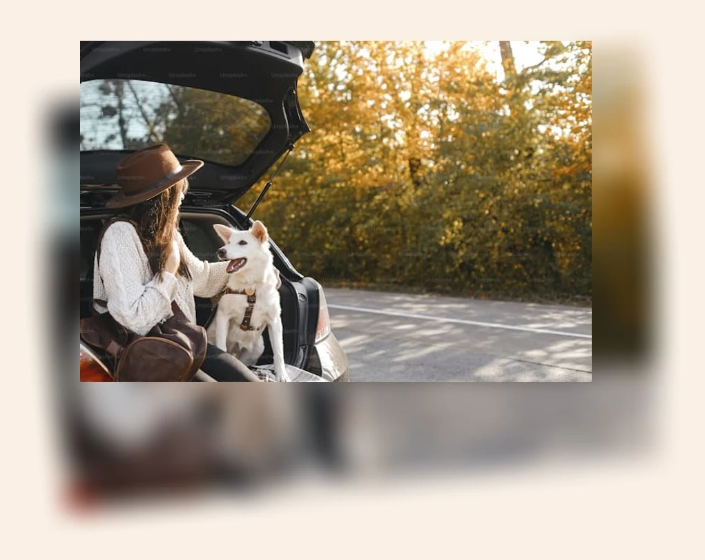 반려동물 해외 이동_1_subsection