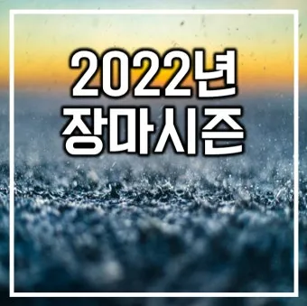 올해 장마 시작 종료일 정리 2025년 완벽 날씨 정보_11