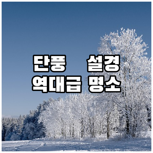 장흥 우드랜드 카페 단풍 설경 명소와..