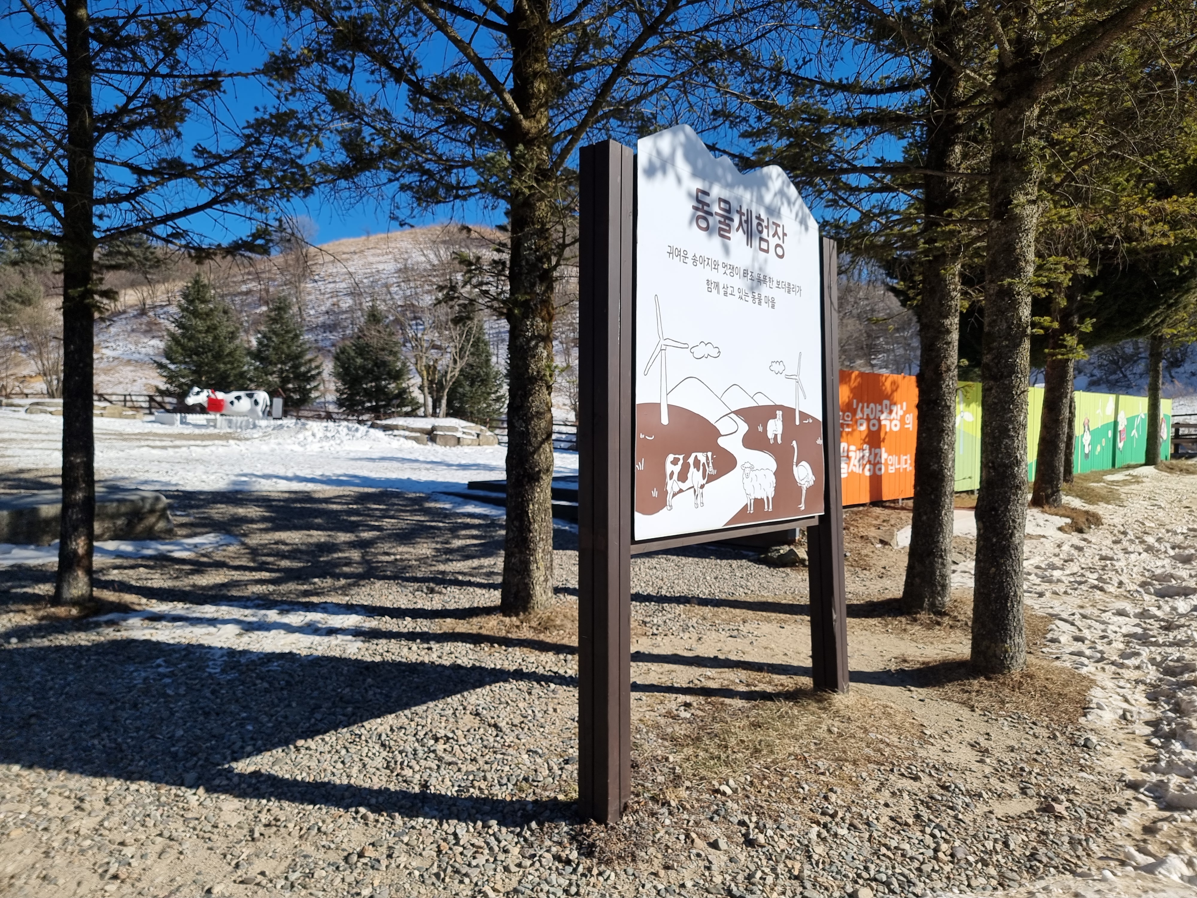 대관령 삼양목장 동물 체험장 간판