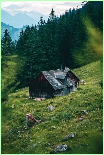 내 주변 주위 대피소 찾기