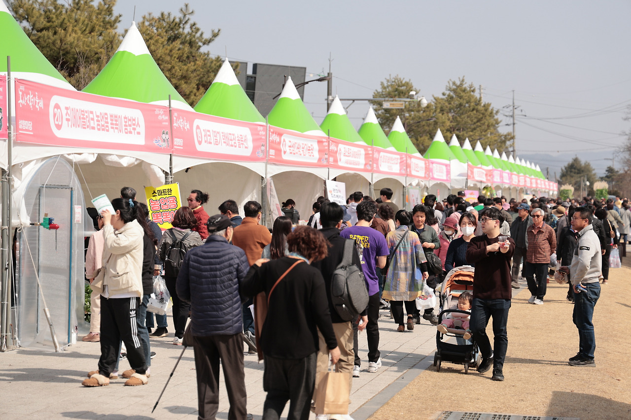 논산딸기 축제 기본일정과 프로그램 및 초대가수 소개(변진섭 이상은 박지현 김의영 인순이 등 출연)