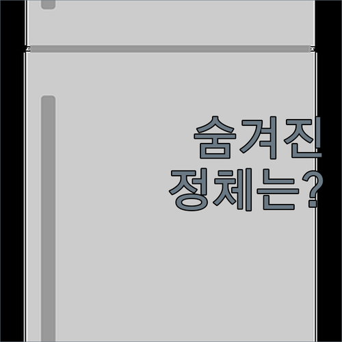 1인 가구 필수템 2도어 냉장고 용량..