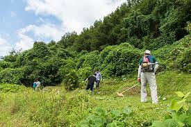 벌초대행 가격비교
