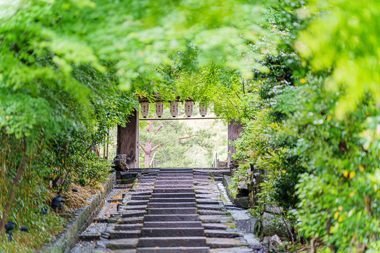 Original source image 114 for OMO5 Kyoto Gion by Hoshino Resorts: Tea, Delivered Dinner and a Morning Walk.