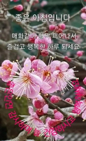 안부인사글 안부 인사말 3월 4월 5월 센스있는 인사말 모음_12