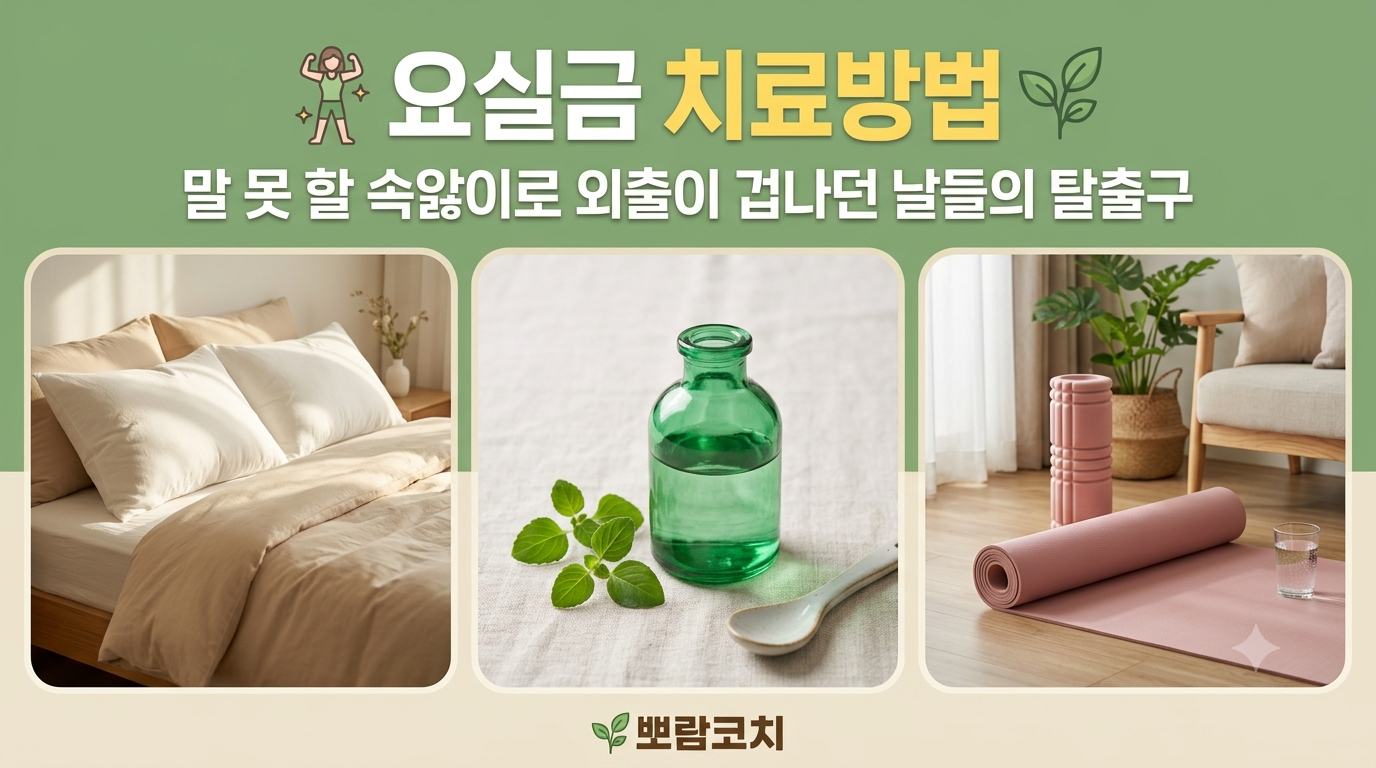* 이미지 1: 따스한 햇살이 드는 하얀 침대 위에 차분하게 놓인 부드러운 하얀색 베개와 베이지색 이불 * 이미지 2: 은은한 에메랄드빛 유리병에 담긴 맑은 물과 그 옆에 나란히 놓인 작은 초록 식물 잎사귀 * 이미지 3: 아늑한 거실 한켠에 편안하게 깔려 있는 인디핑크빛 요가 매트와 폼롤러