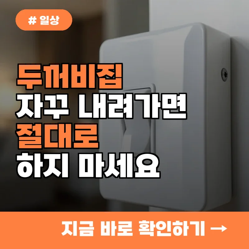 두꺼비집 계속 내려간다면 절대 하지 말아야 할 위험 행동 3가지