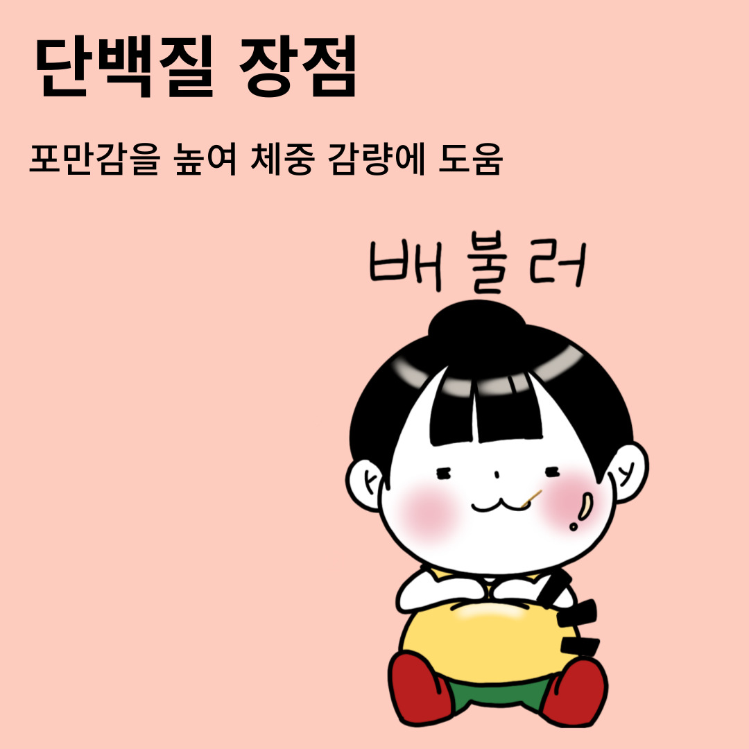 단백질 장점