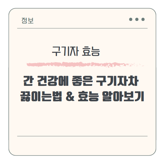 간 건강에 좋은 구기자차 끓이는법 &amp; 효능 알아보기