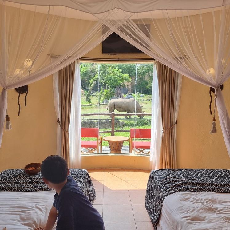 아이들이 좋아하는 동물원 호텔 마라 리버 사파리 롯지