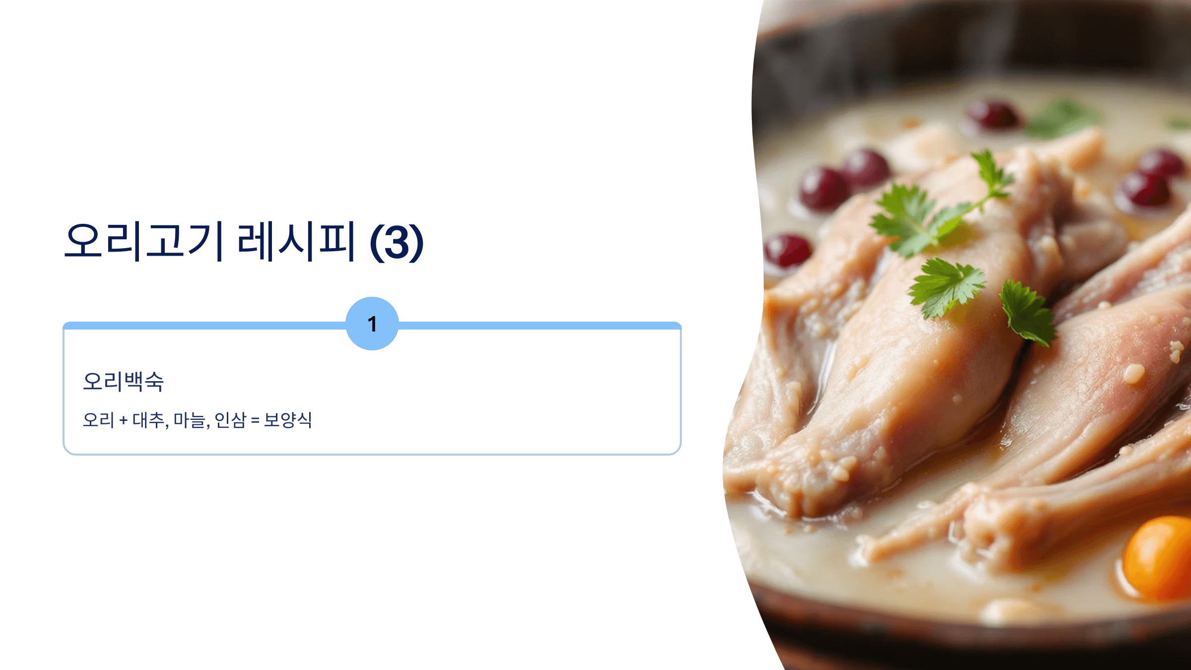 오리 사진입니다.