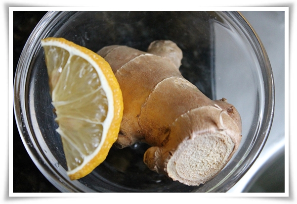 &quot;10월 하순, 생강 수확 하세요!&quot; 생강의 매력과 건강 효능, 최적의 수확시기! 생강의 효능과 활용!