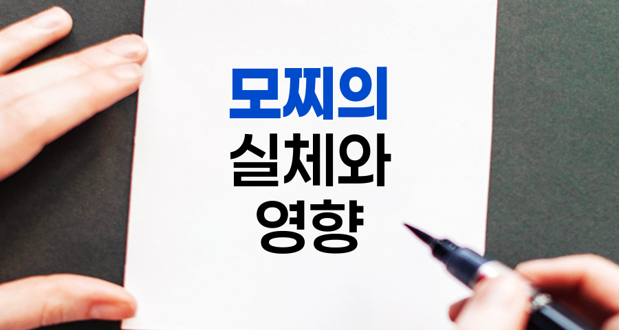 모찌의 실체와 주식시장 영향