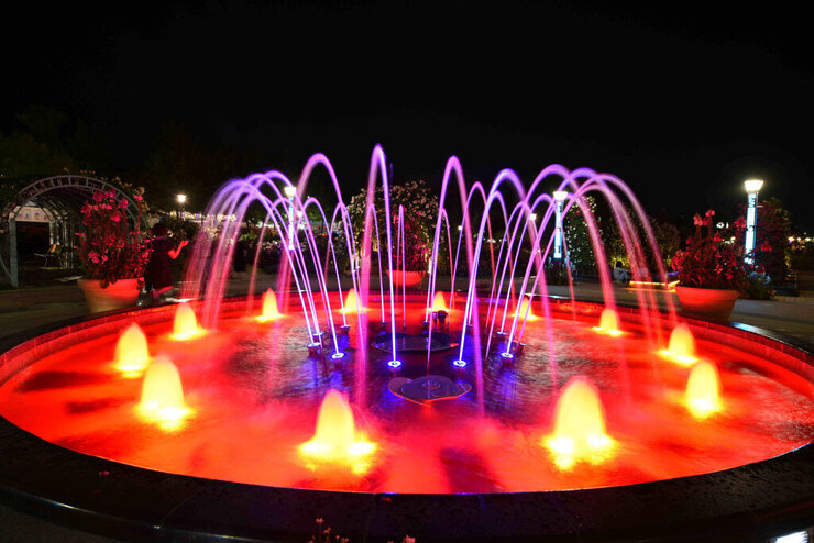 [5월 축제]2025 곡성 세계장미축제❘장미 실시간 개화 상황, 입장권 예매 방법, 프로그램 및 일정, 체험 가이드