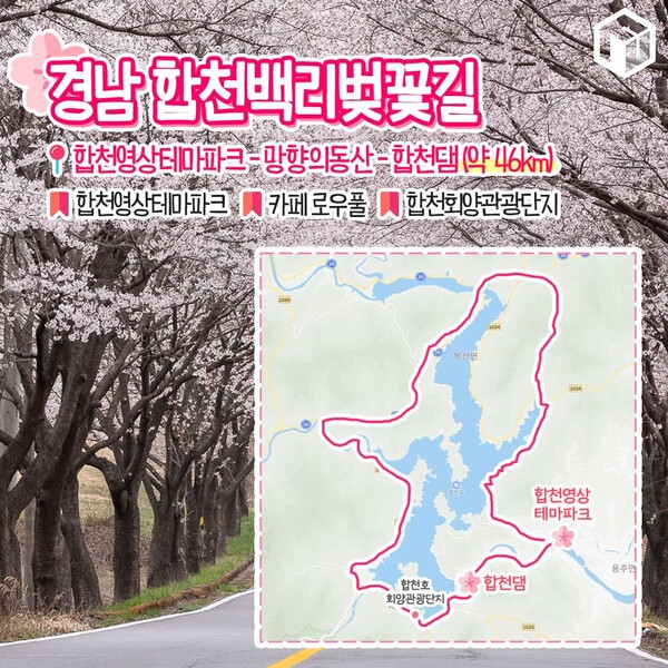 벚꽂 보러 갈래? 드라이브 코스 9(Do you want to go see cherry blossoms? South Korea's Beautiful Drive Course 9)