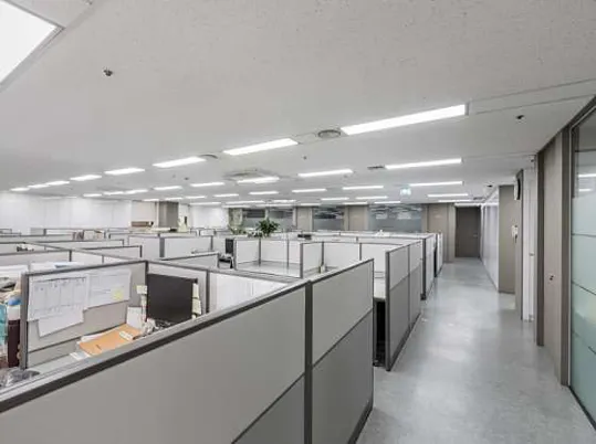 세무법인대성