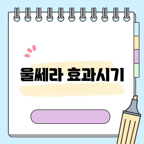 울쎄라 효과시기