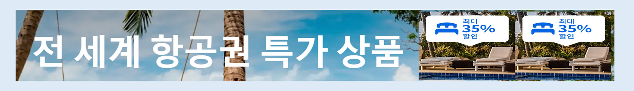 해외여행 비행기 티켓