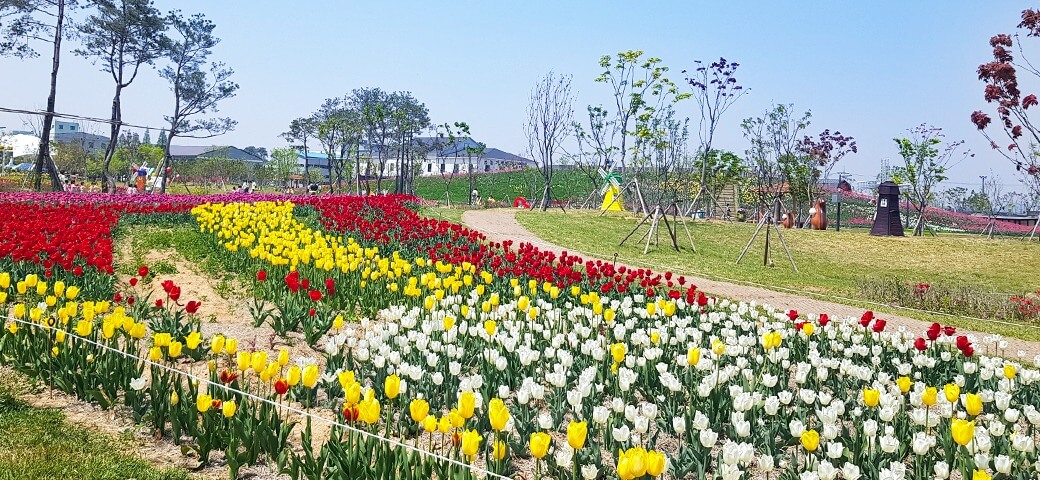 평택 농업생태원 수국