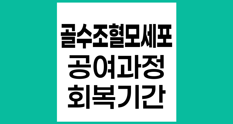 골수조혈모세포 공여 과정과 일상생활 복귀